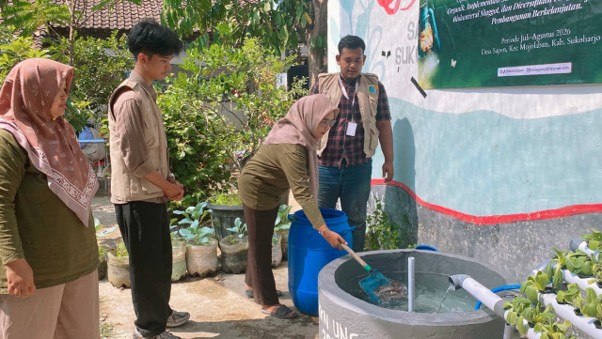 Peletakan bibit tanaman dan bibit ikan pada sistem Akuaponik oleh Kelompok Wanita Tani (KWT) Dewi Sri